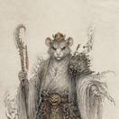 金鼻白毛老鼠精
